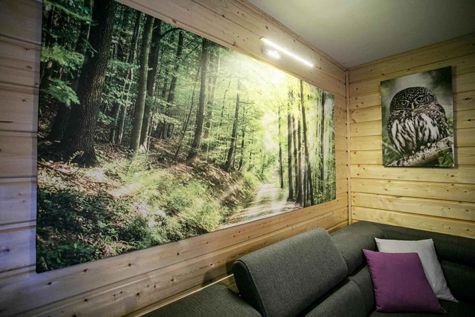 Ferienhaus Caloroczny Sowka Na Kaszubach Z Bania I Sauna Na Wylacznosc, Wspolny Basen I Bilard Z Domkiem Jeleniowka - Ostrowite Lesna Dolina *